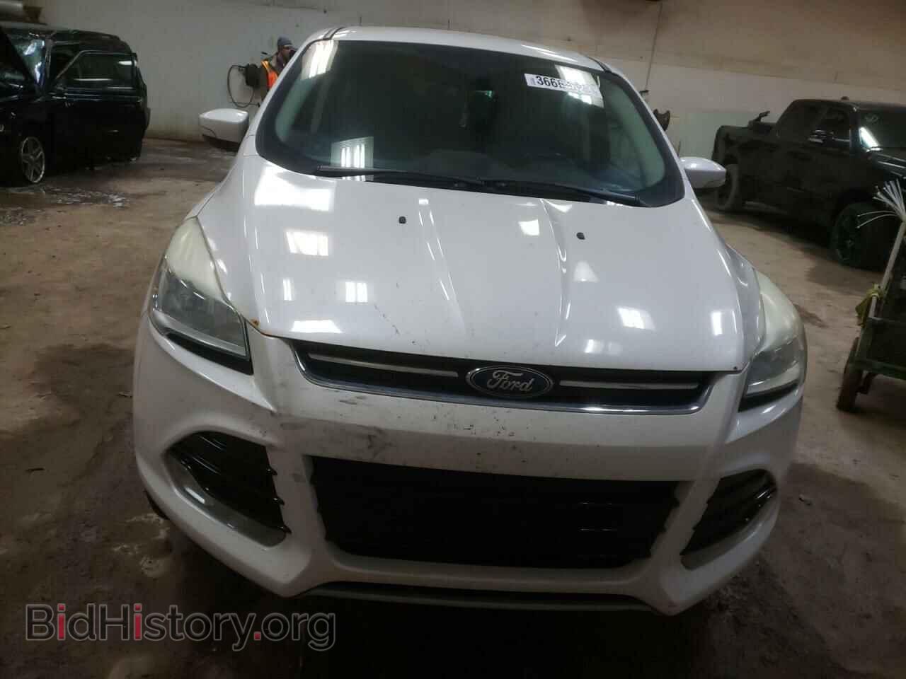 2013 FORD ESCAPE - VIN: 1FMCU0HX5DUD67618 - Фото 5