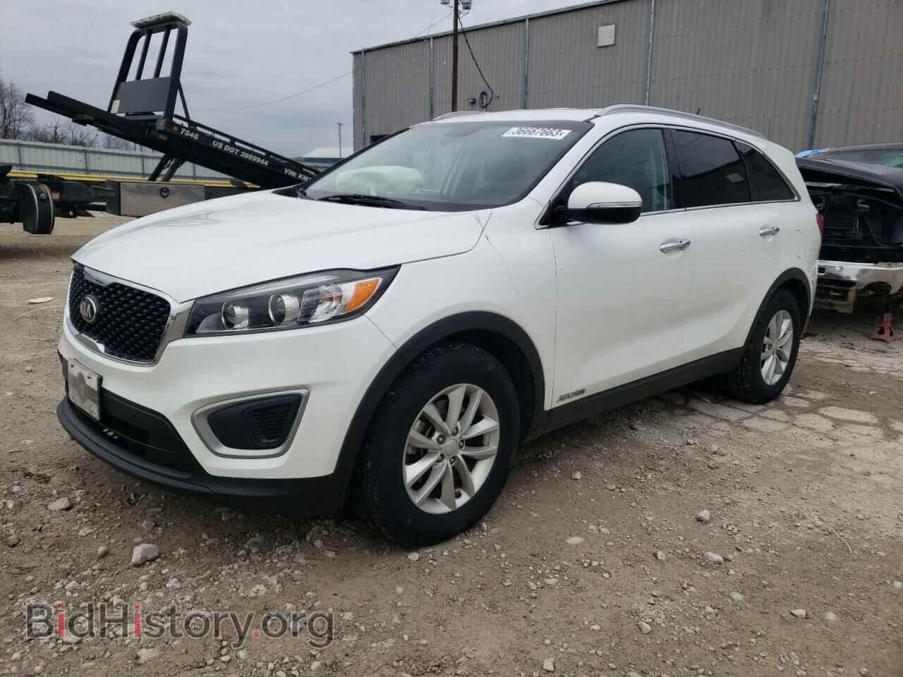 Фотография 5XYPGDA57HG334415 - KIA SORENTO 2017