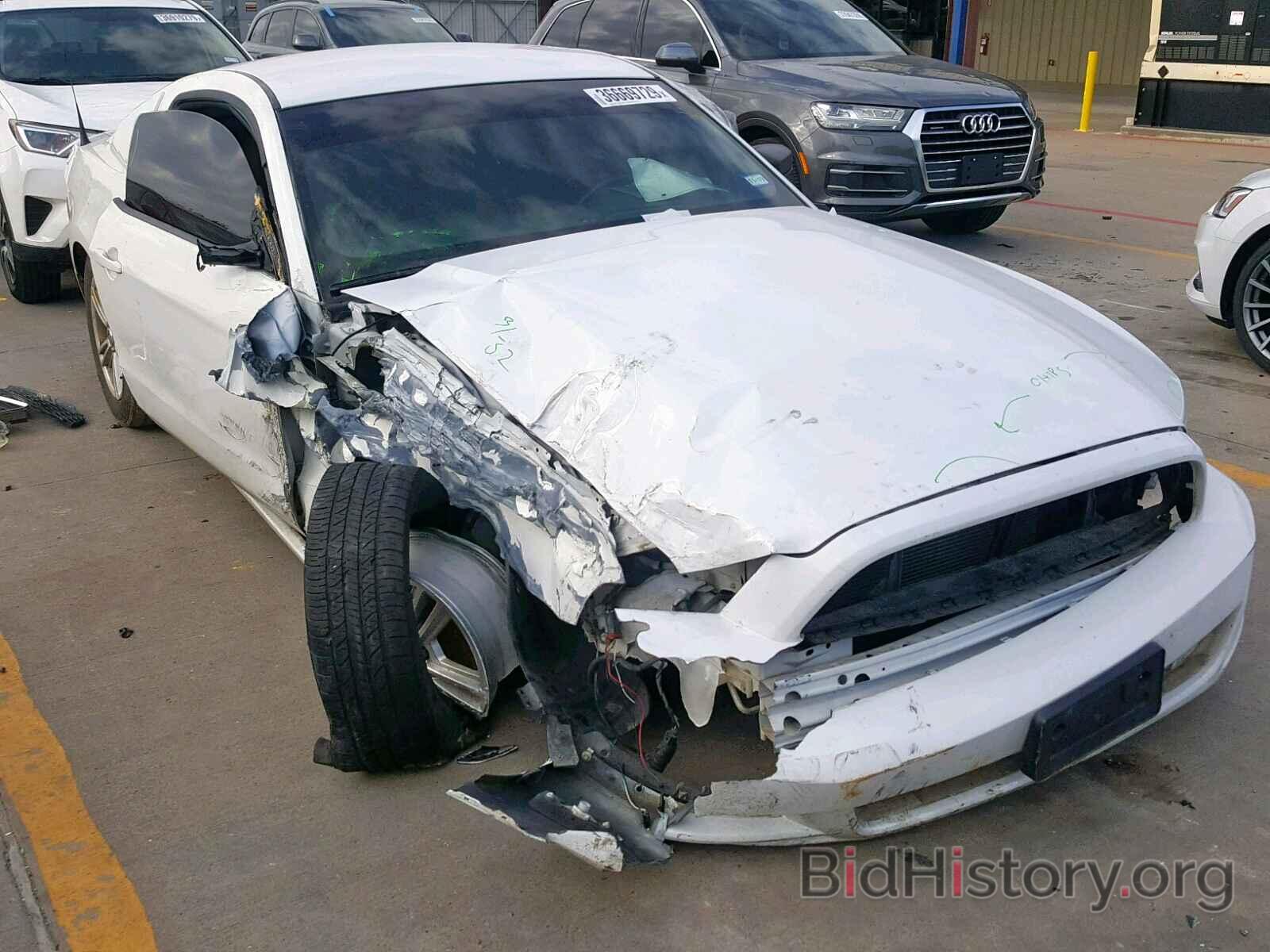Photo 1ZVBP8AM5E5241080 - FORD MUSTANG 2014