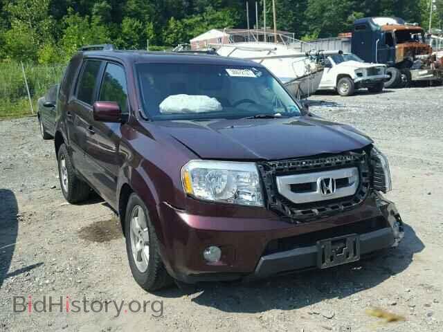 Фотография 5FNYF4H5XBB001461 - HONDA PILOT 2011