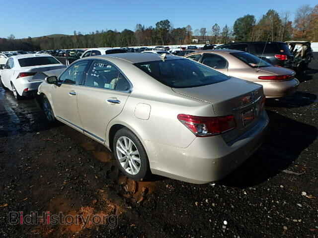 2010 LEXUS ES350 - VIN: JTHBK1EG0A2377978 - Фото 3
