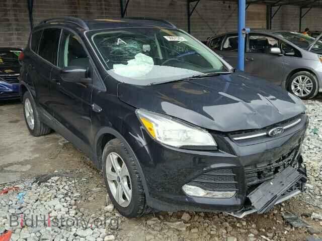 Фотография 1FMCU0GX7EUB60506 - FORD ESCAPE 2014