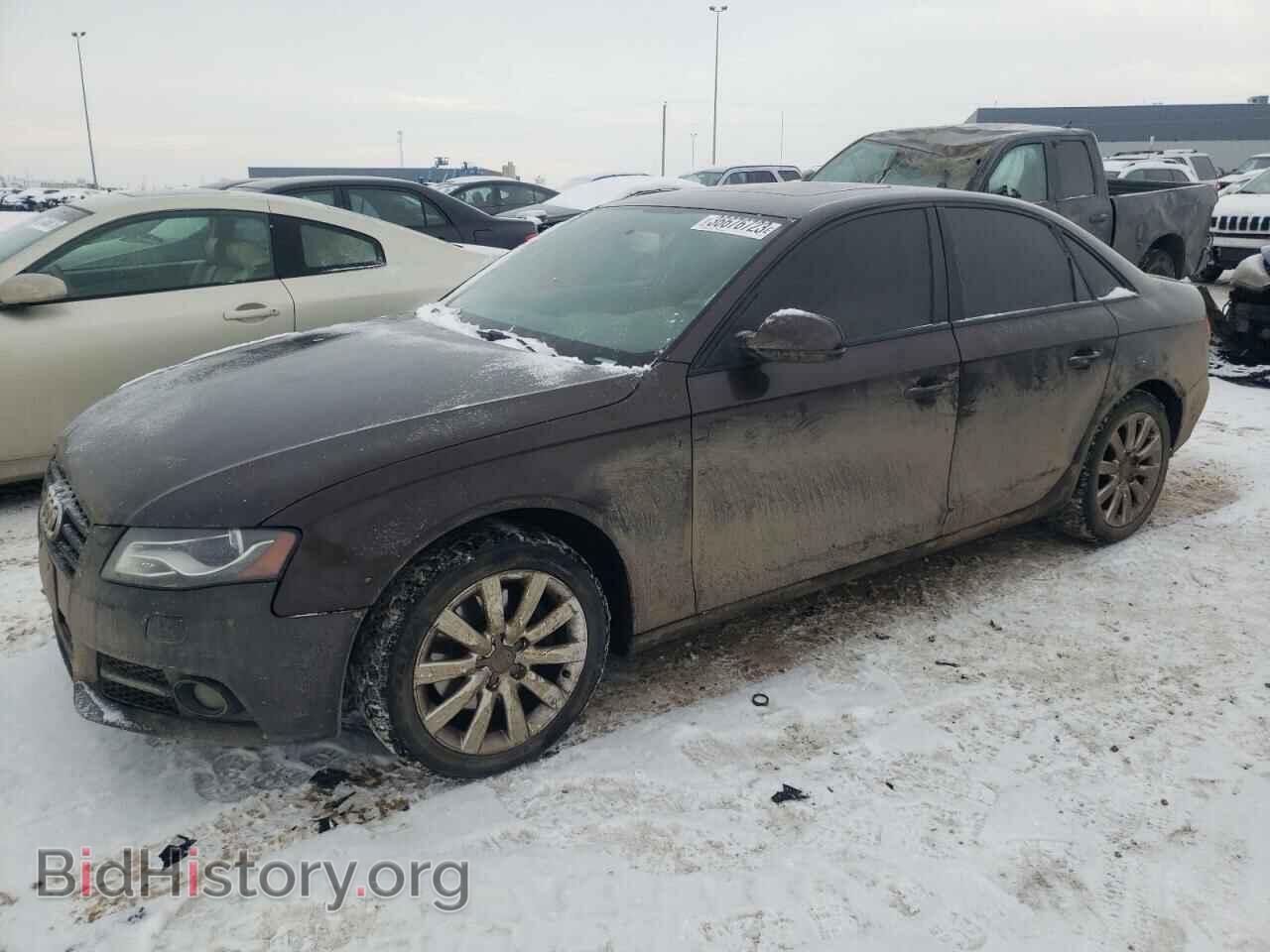 Фотография WAUBFCFL9CA119249 - AUDI A4 2012