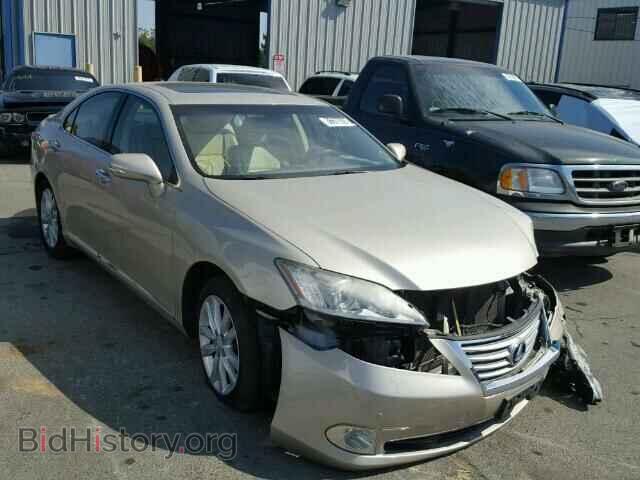 Photo JTHBK1EG1A2393770 - LEXUS ES350 2010