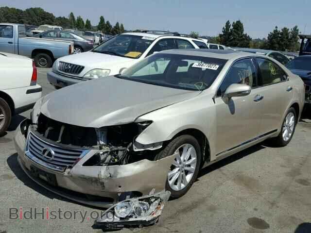 2010 LEXUS ES350 - VIN: JTHBK1EG1A2393770 - Фото 2