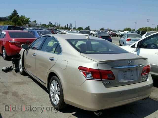 2010 LEXUS ES350 - VIN: JTHBK1EG1A2393770 - Фото 3