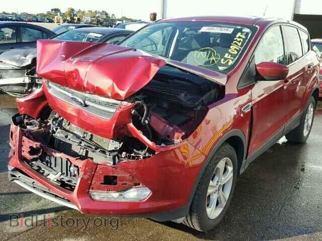2013 FORD ESCAPE - VIN: 1FMCU0GX9DUB46539 - Фото 2