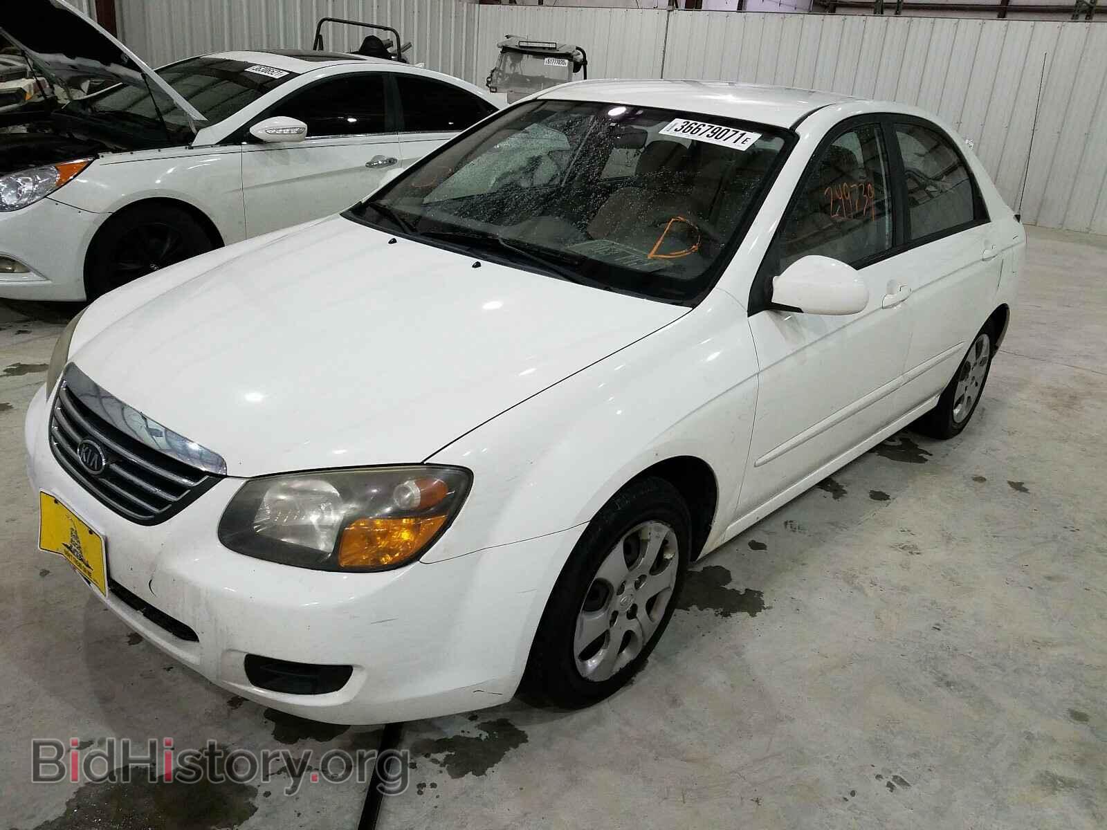 2009 KIA SPECTRA - VIN: KNAFE221295654699 - Фото 2