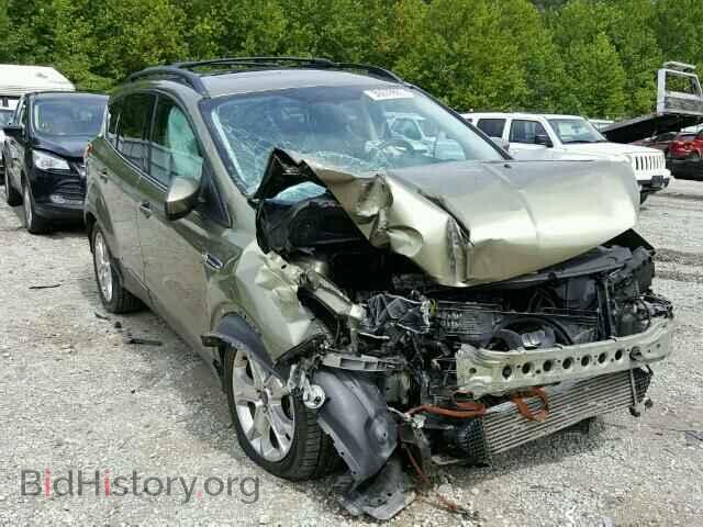 Фотография 1FMCU0GX0DUB80417 - FORD ESCAPE 2013