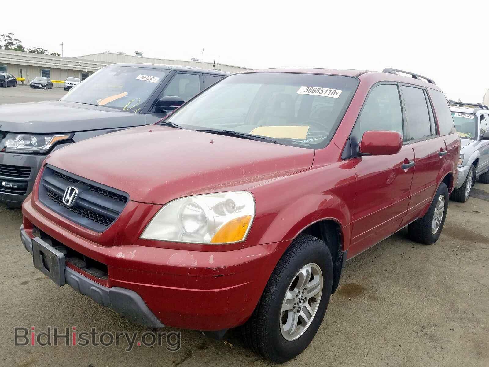 2005 HONDA PILOT - VIN: 2HKYF18565H517725 - Фото 2