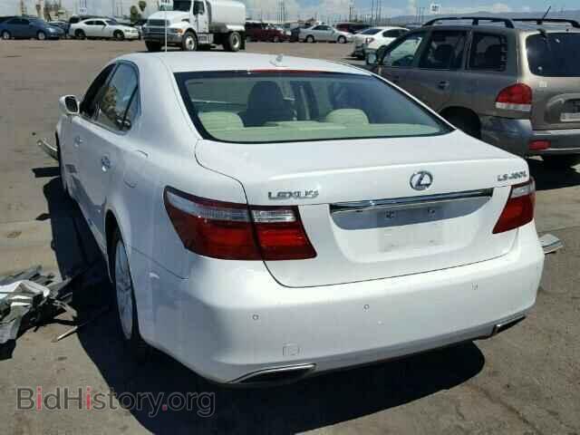 2007 LEXUS LS460 - VIN: JTHGL46F175003199 - Фото 3