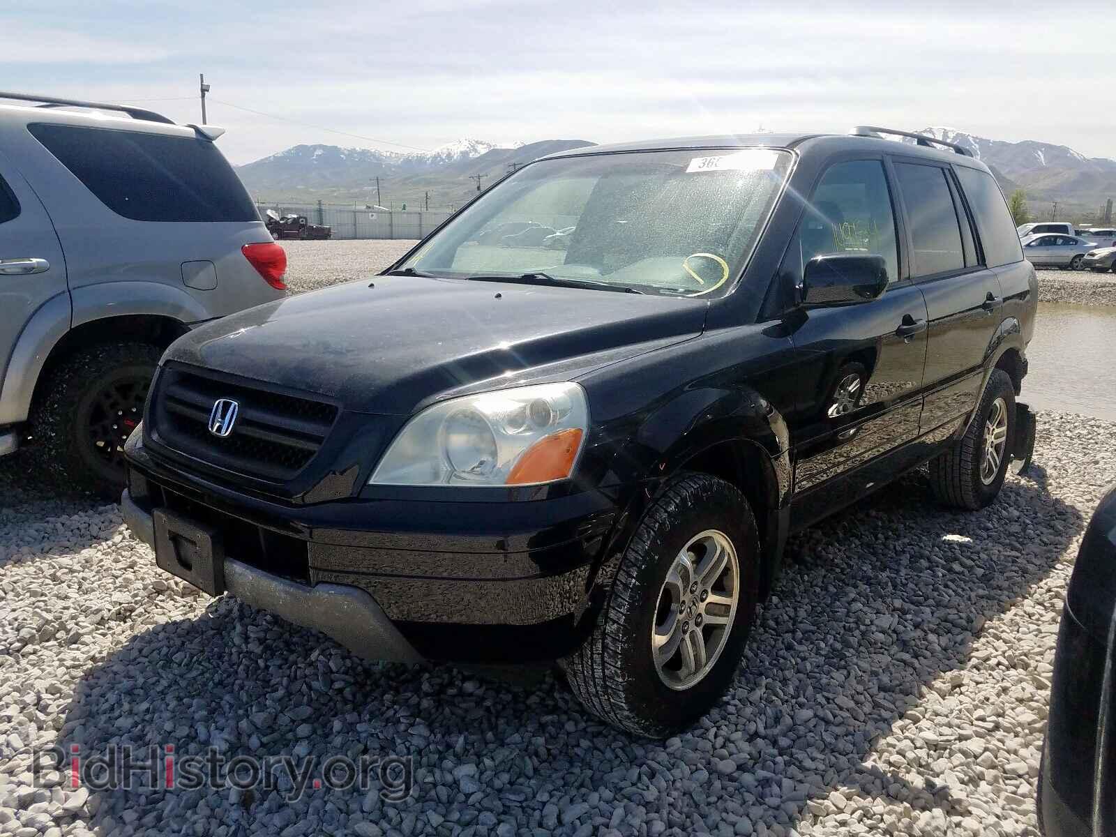2005 HONDA PILOT - VIN: 5FNYF18405B030736 - Фото 2