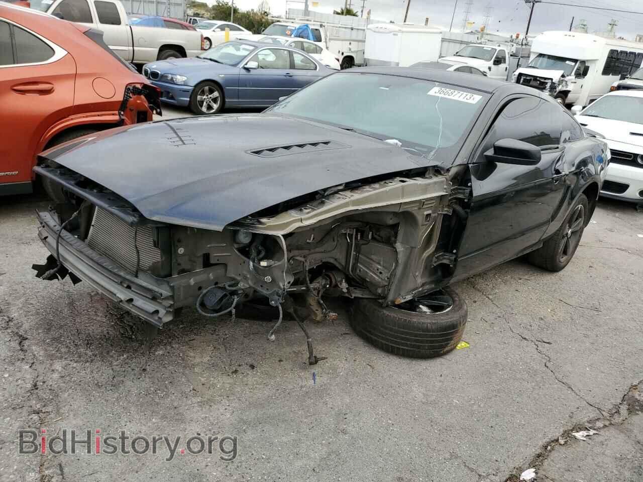 Фотография 1ZVBP8CF1E5333043 - FORD MUSTANG 2014