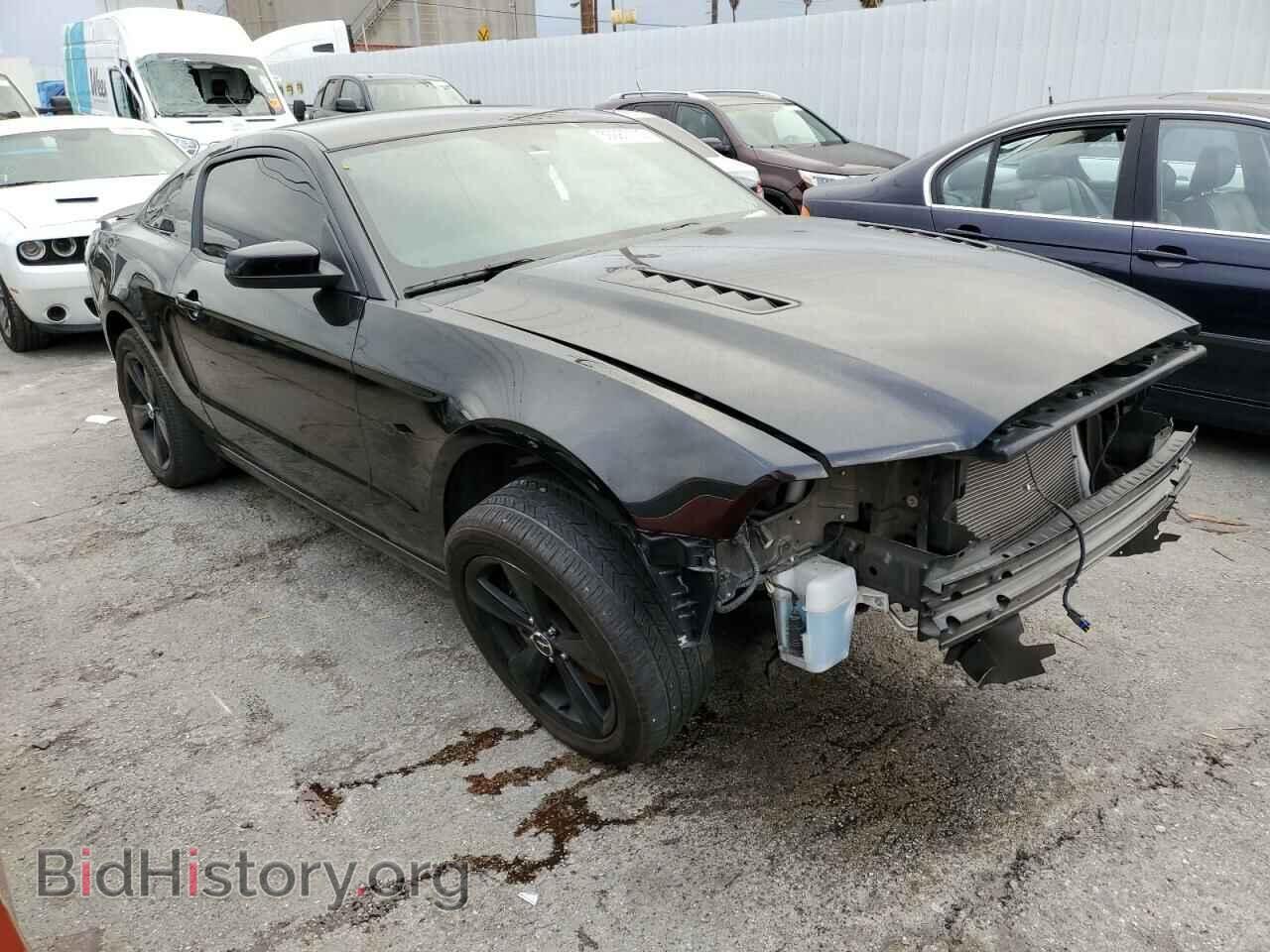 2014 FORD MUSTANG - VIN: 1ZVBP8CF1E5333043 - Фото 4