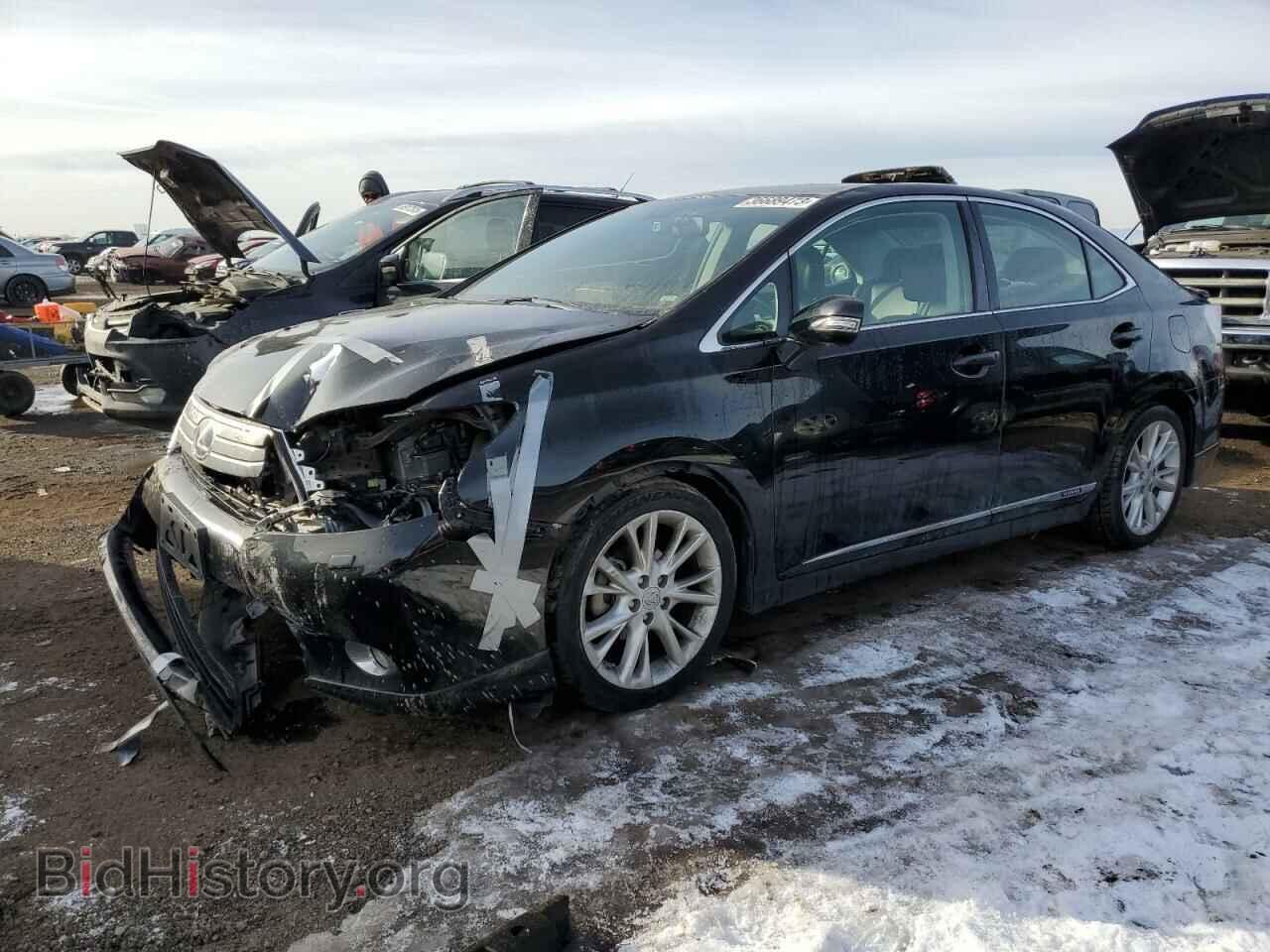 Фотография JTHBB1BA0A2004262 - LEXUS HS 2010