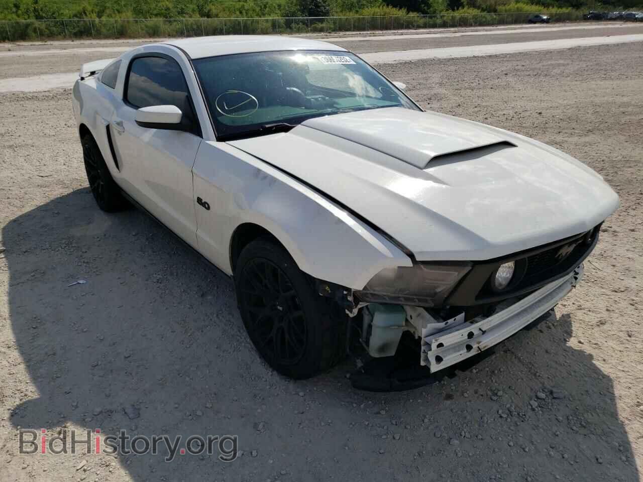 Фотография 1ZVBP8CF7C5280605 - FORD MUSTANG 2012