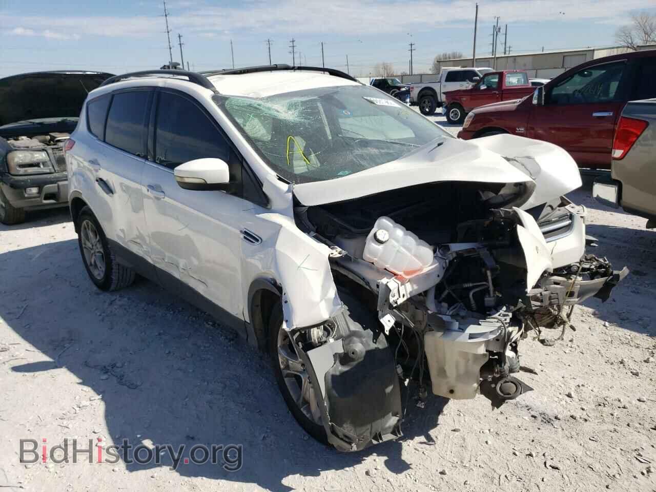 Фотография 1FMCU0H94DUC78124 - FORD ESCAPE 2013