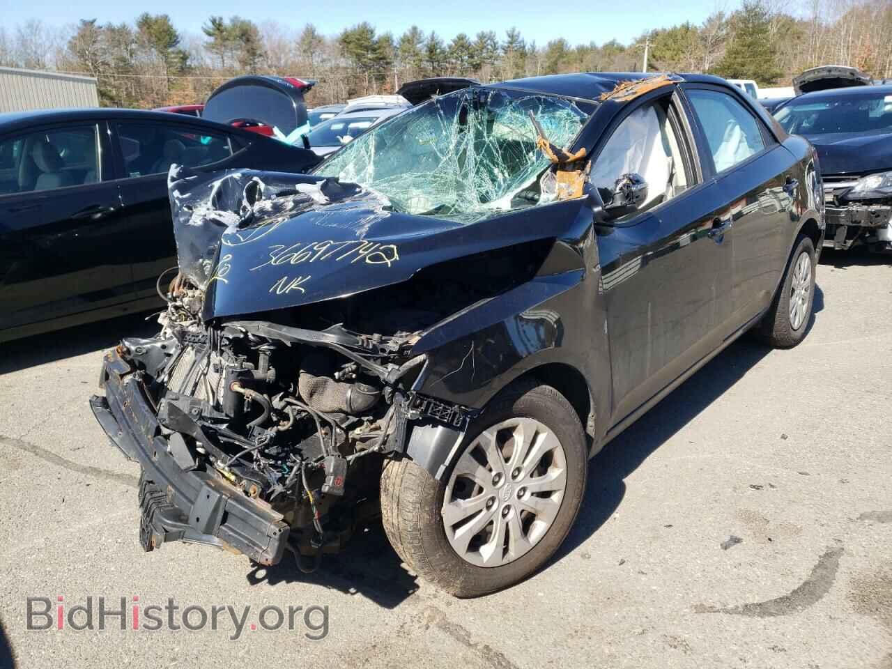 2012 KIA FORTE - VIN: KNAFU4A2XC5591058 - Фото 2