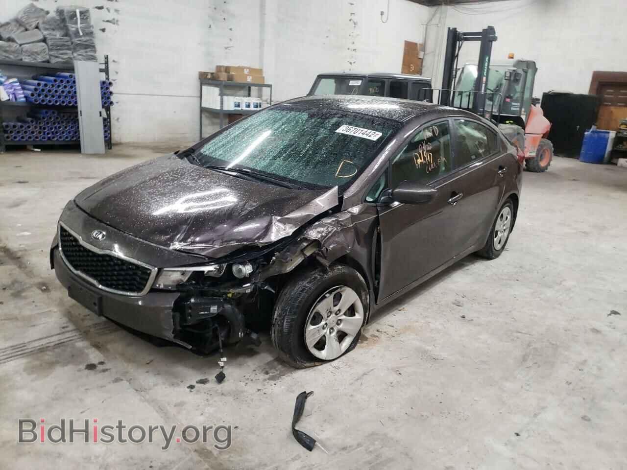 2017 KIA FORTE - VIN: 3KPFK4A77HE011667 - Фото 2
