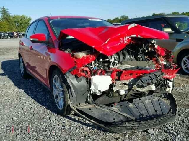 Фотография 1FADP3K23FL338356 - FORD FOCUS 2015