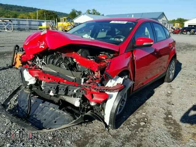 2015 FORD FOCUS - VIN: 1FADP3K23FL338356 - Фото 2