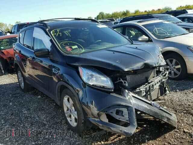 Фотография 1FMCU0GX8DUD08225 - FORD ESCAPE 2013