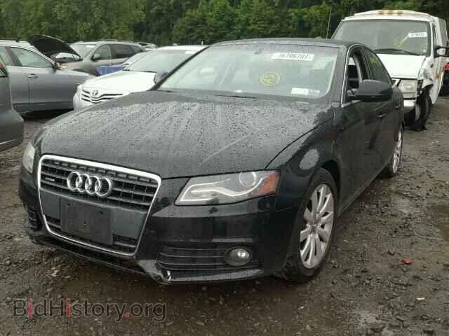 2010 AUDI A4 - VIN: WAUFFAFL5AN058686 - Фото 2