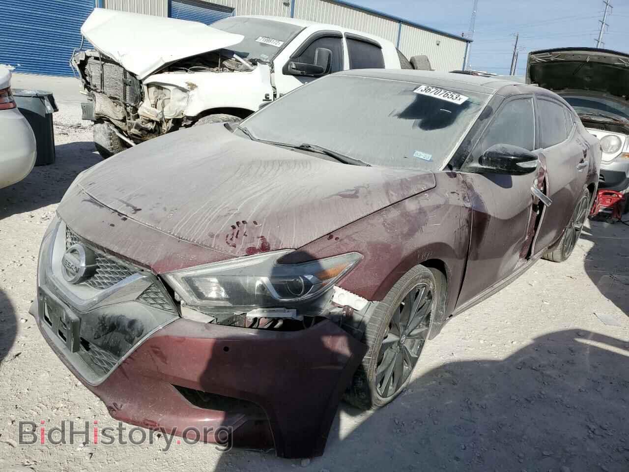 Фотография 1N4AA6AP7HC363203 - NISSAN MAXIMA 2017
