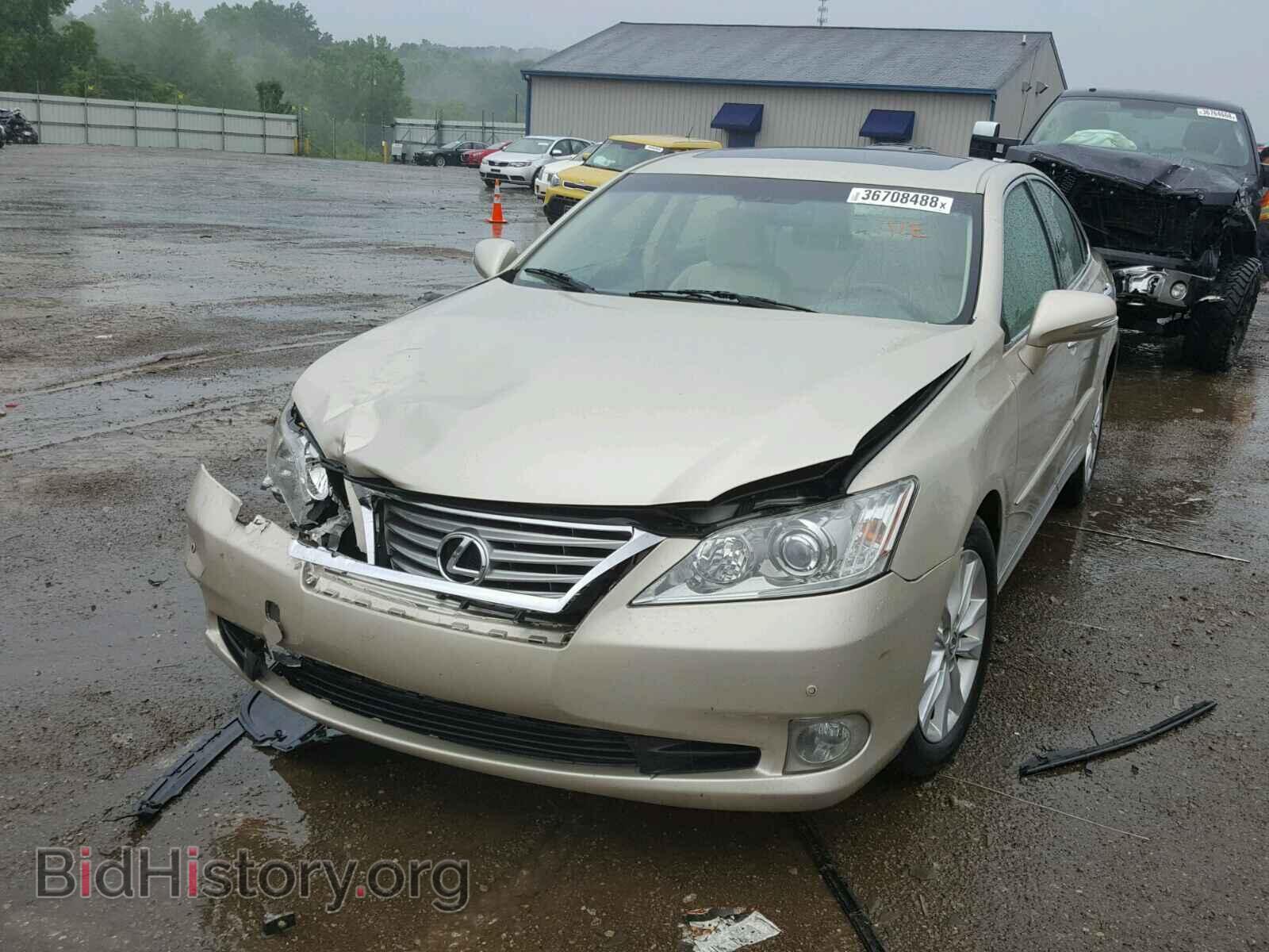 2011 LEXUS ES350 - VIN: JTHBK1EG7B2468411 - Фото 2