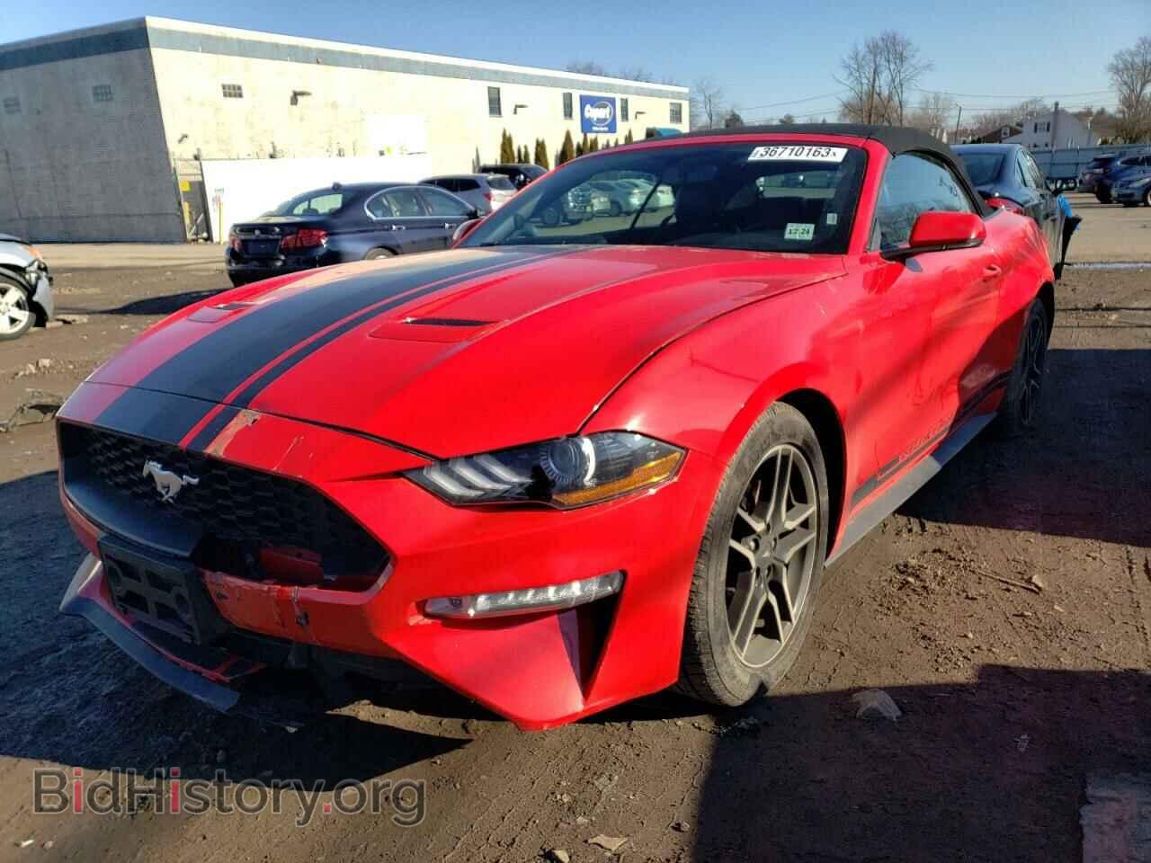 Photo 1FATP8UH4K5169912 - FORD MUSTANG 2019