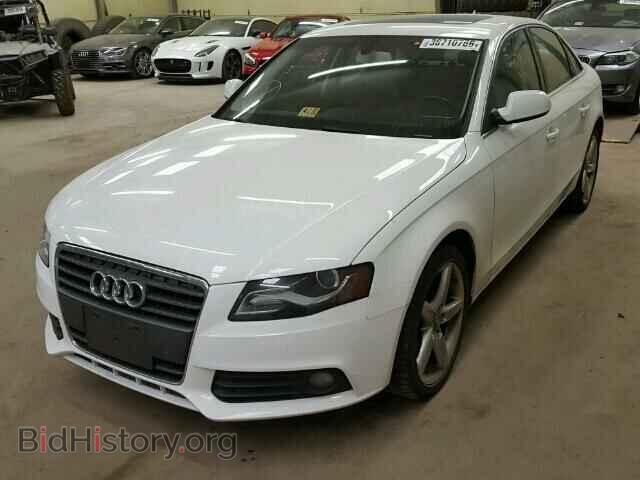 2010 AUDI A4 - VIN: WAUEFAFL4AN054267 - Фото 2