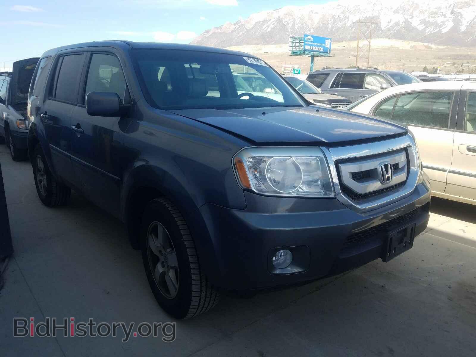Фотография 5FNYF4H53BB009224 - HONDA PILOT 2011