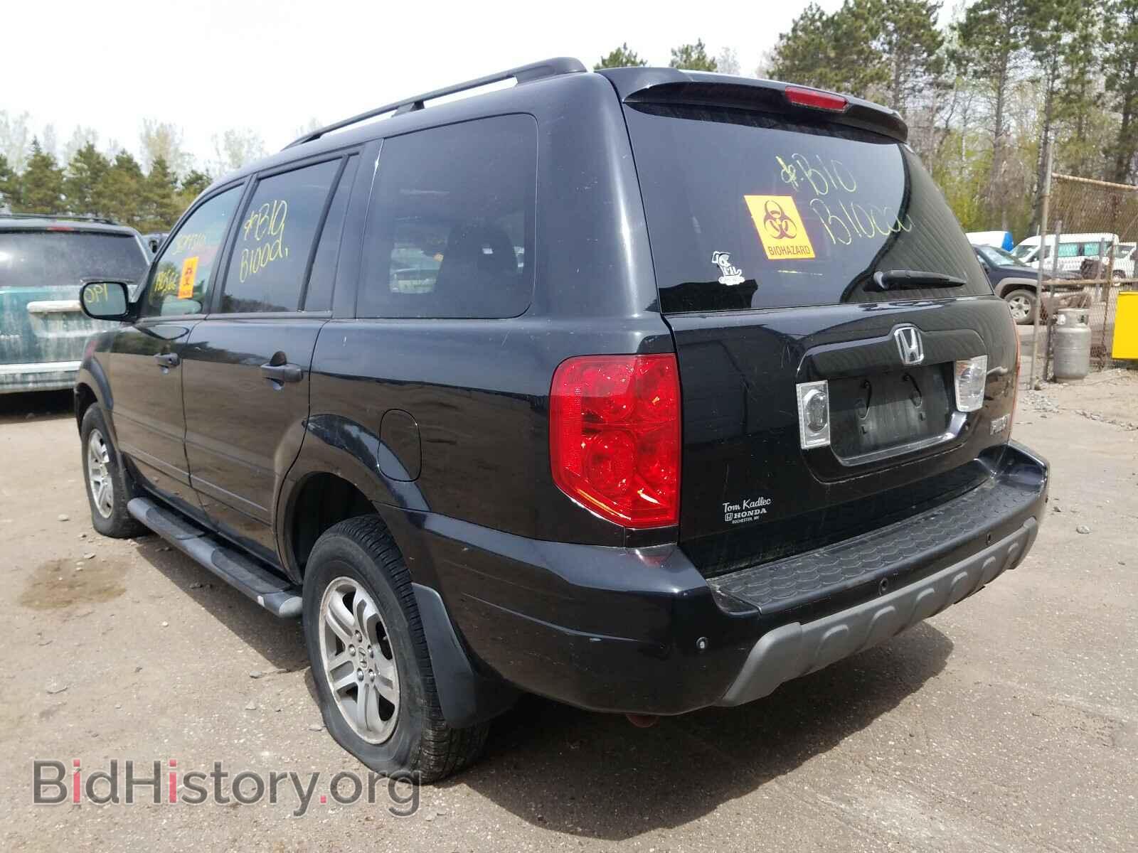 2005 HONDA PILOT - VIN: 5FNYF18575B035148 - Фото 3