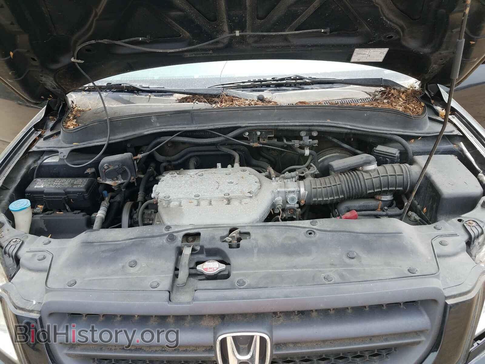 2005 HONDA PILOT - VIN: 5FNYF18575B035148 - Фото 7