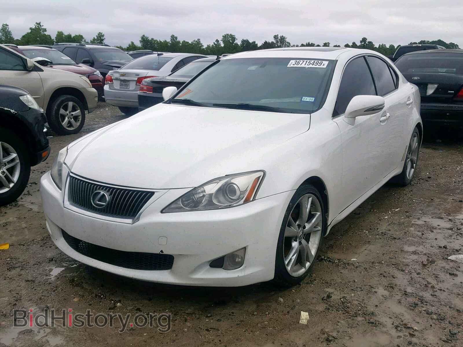 2010 LEXUS IS 250 - VIN: JTHBF5C21A2100100 - Фото 2