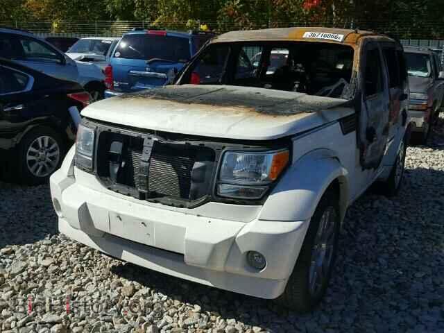 2008 DODGE NITRO - VIN: 1D8GU58628W219495 - Фото 2