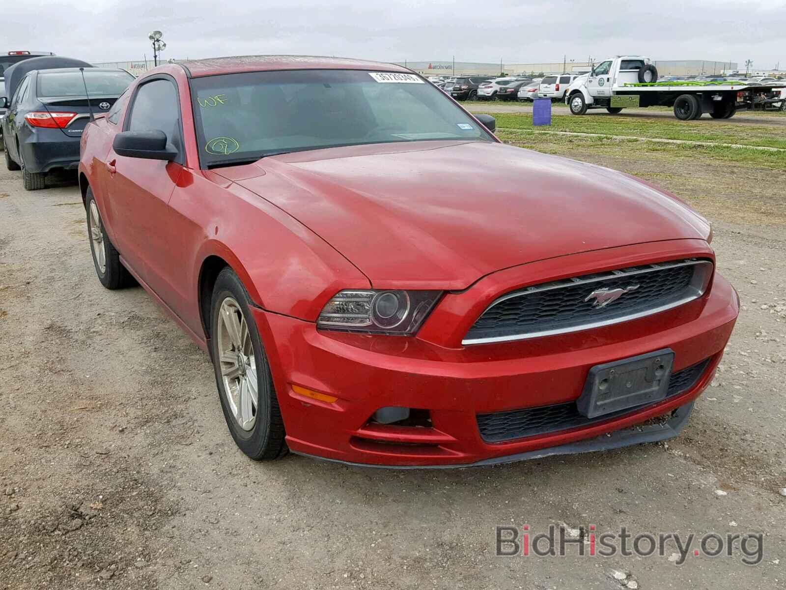 Photo 1ZVBP8AM5D5259223 - FORD MUSTANG 2013