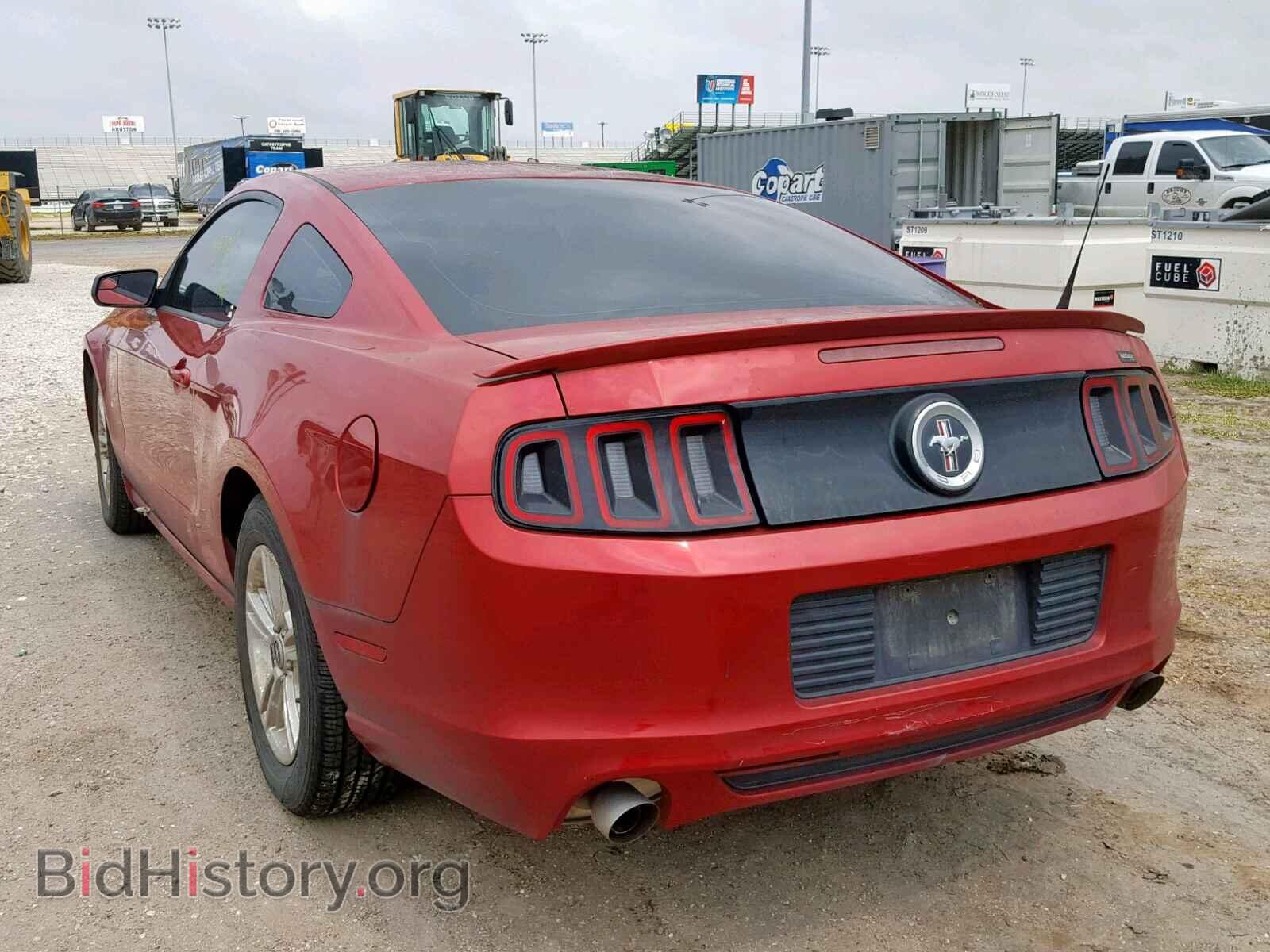 2013 FORD MUSTANG - VIN: 1ZVBP8AM5D5259223 - Фото 3
