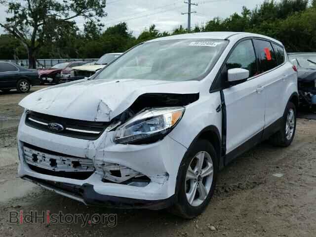 2014 FORD ESCAPE - VIN: 1FMCU0GX9EUC49669 - Фото 2