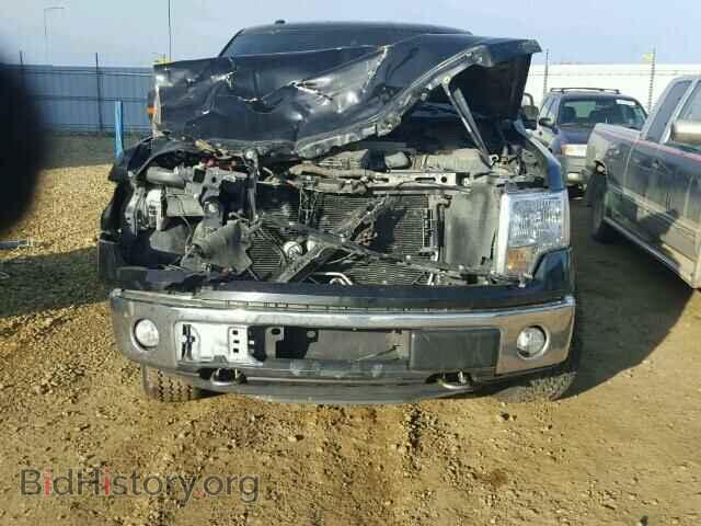 2013 FORD F150 - VIN: 1FTFW1EF6DFC59848 - Фото 9