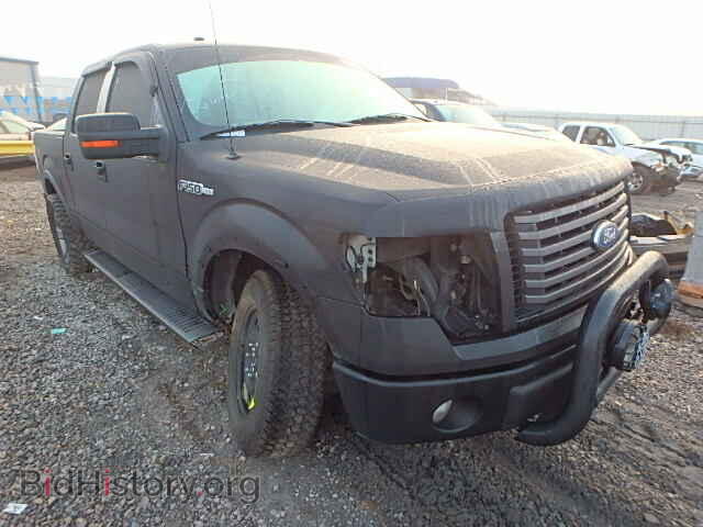 Photo 1FTFW1EF7BFD20413 - FORD F150 2011