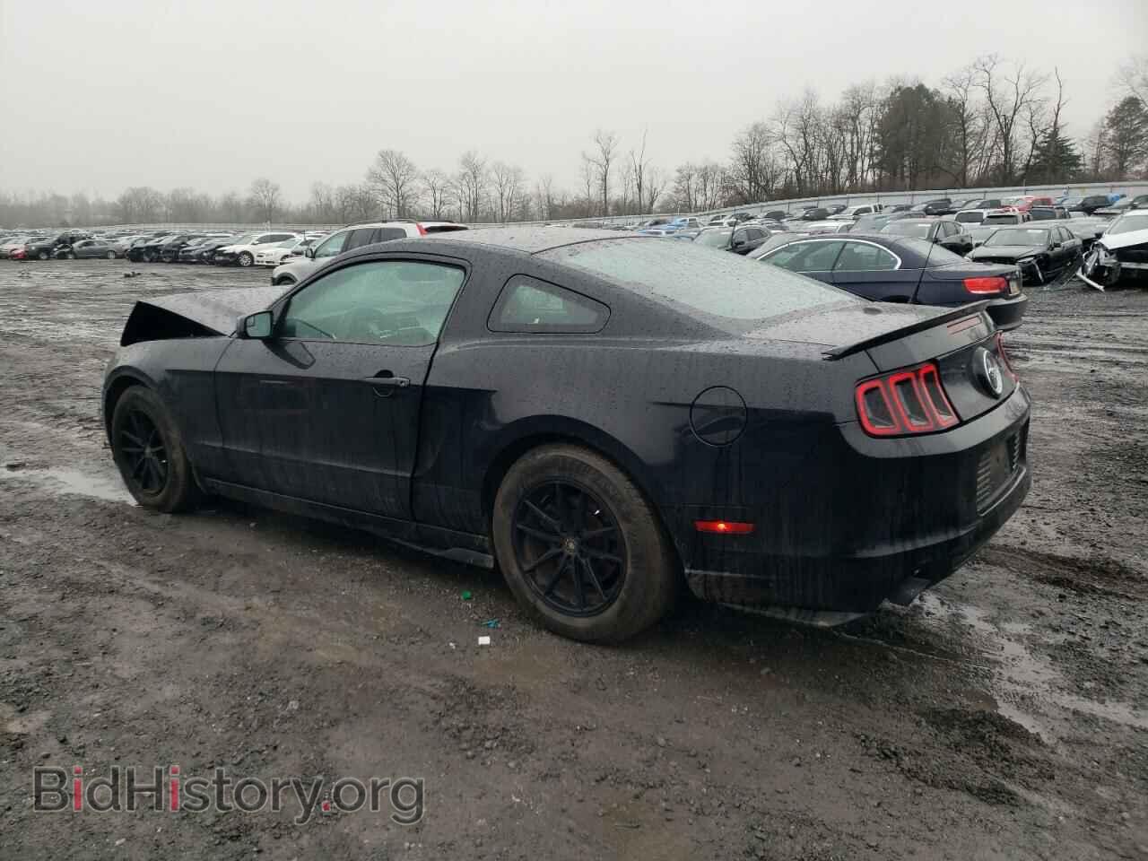 2014 FORD MUSTANG - VIN: 1ZVBP8AM9E5240515 - Фото 2