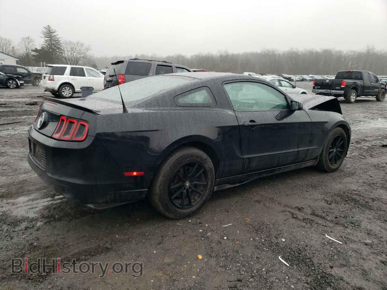 2014 FORD MUSTANG - VIN: 1ZVBP8AM9E5240515 - Фото 3