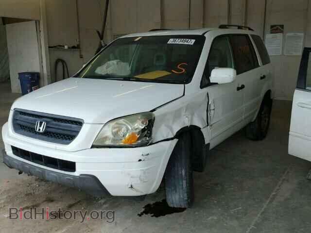 2005 HONDA PILOT - VIN: 5FNYF186X5B030745 - Фото 2