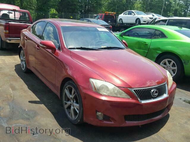 2010 LEXUS IS250 - VIN: JTHBF5C23A5107306 - Фото 1