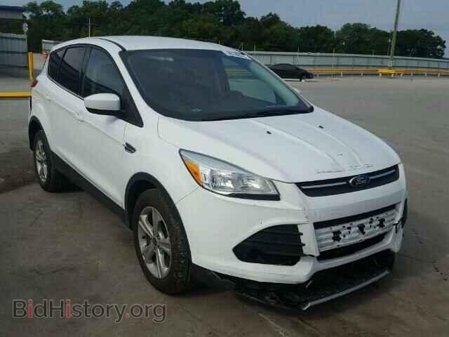 Фотография 1FMCU0GX8EUC11043 - FORD ESCAPE 2014