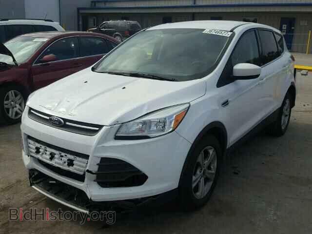 2014 FORD ESCAPE - VIN: 1FMCU0GX8EUC11043 - Фото 2