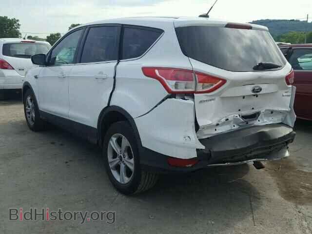 2014 FORD ESCAPE - VIN: 1FMCU0GX8EUC11043 - Фото 3