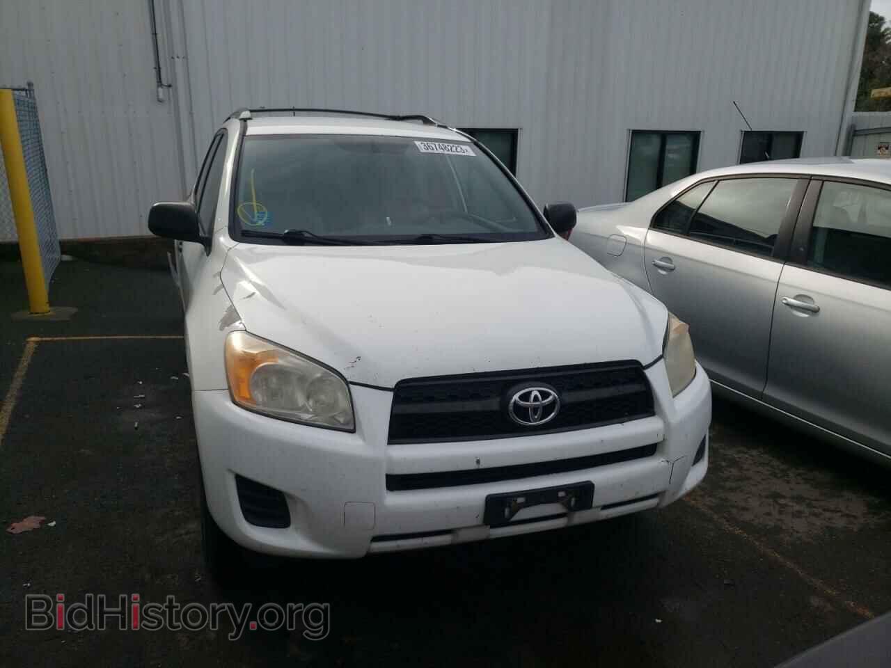 2009 TOYOTA RAV4 - VIN: 2T3BF33VX9W003495 - Фото 5