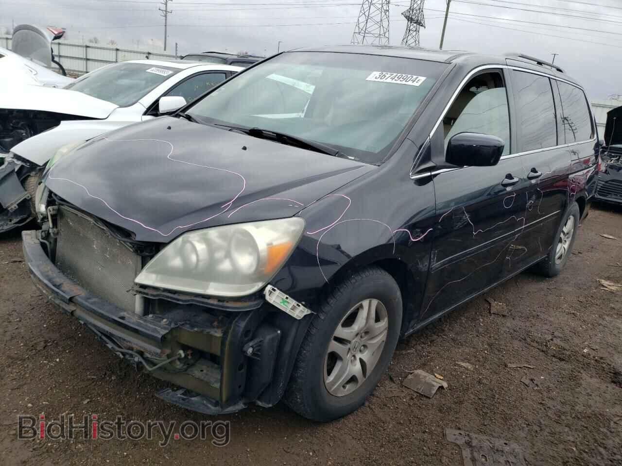 Photo 5FNRL38787B000681 - HONDA All Models 2007